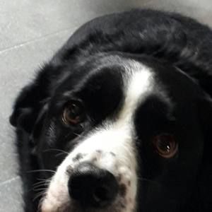 Meet your Posher, Adam